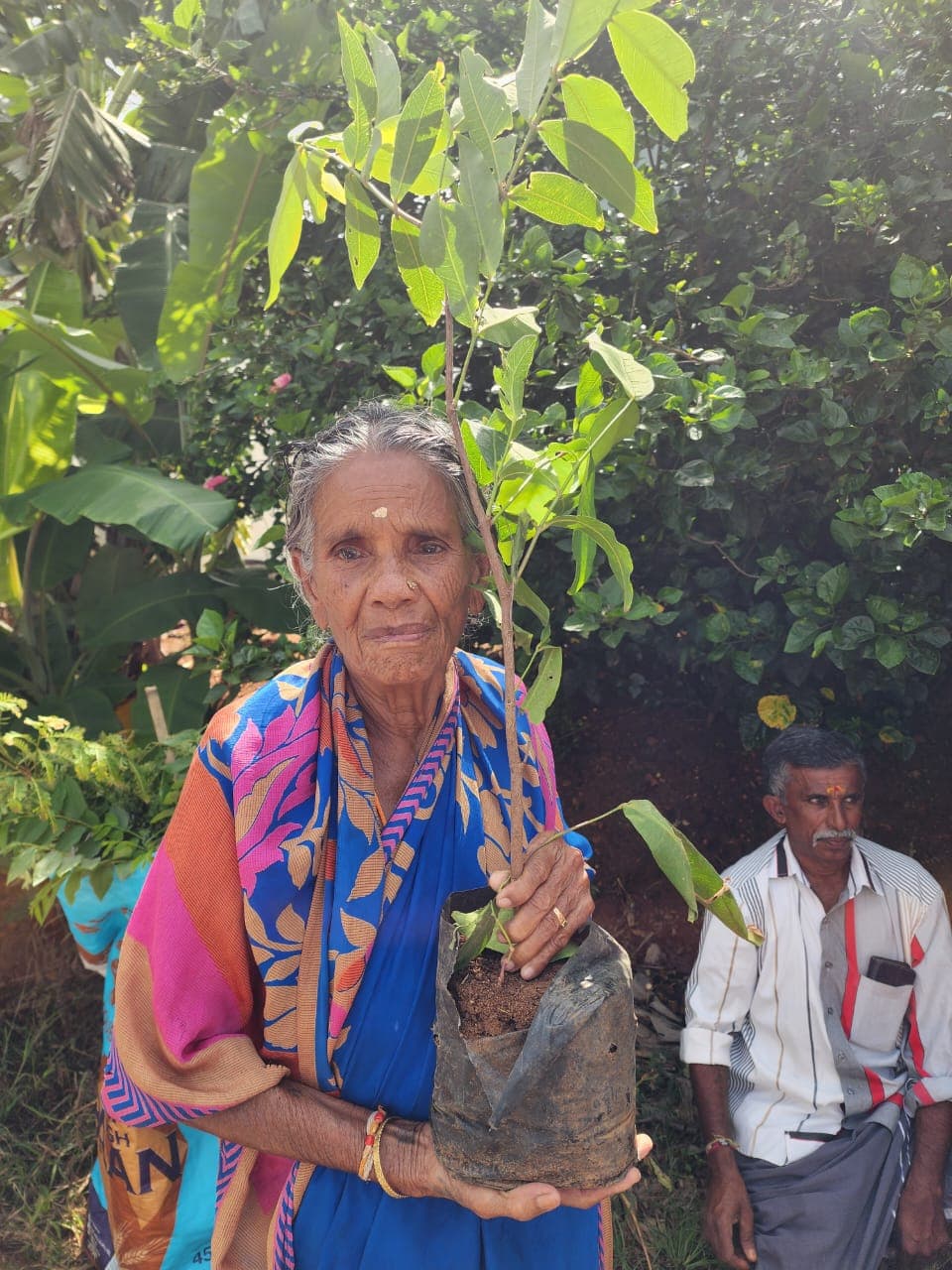 Community member with native sapling