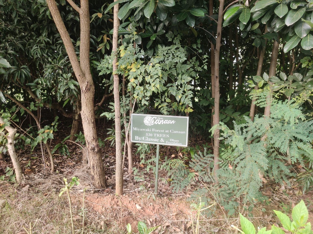 Miyawaki Forest signboard